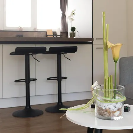 Apartament 100m Zum Ulmer Muenster: 57m² An Der Blau Ulm