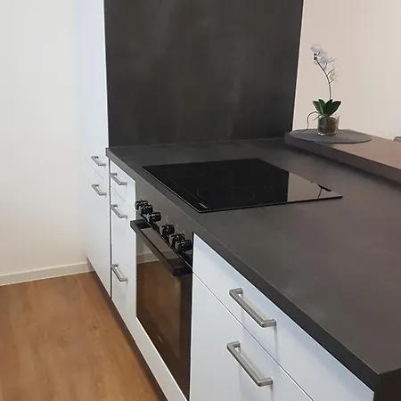 100m Zum Ulmer Muenster: 57m² An Der Blau アパート *