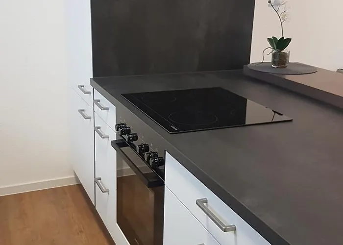 100m Zum Ulmer Muenster: 57m² An Der Blau Appartement *